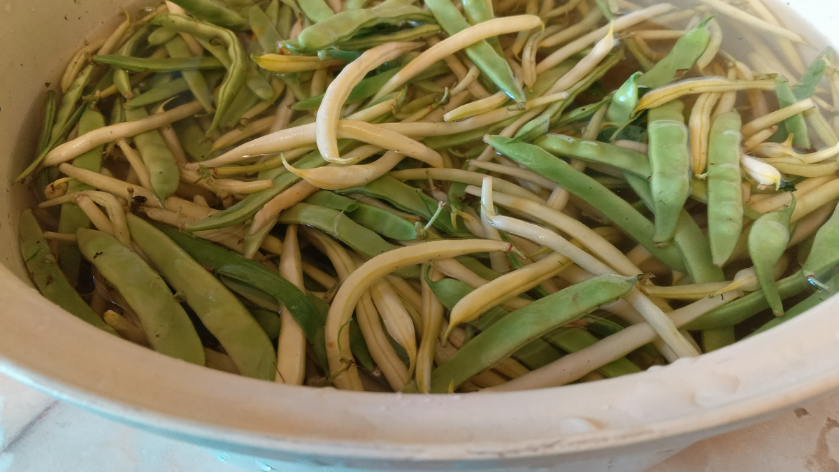 фото автора: фасоль в воде в тазу, мою