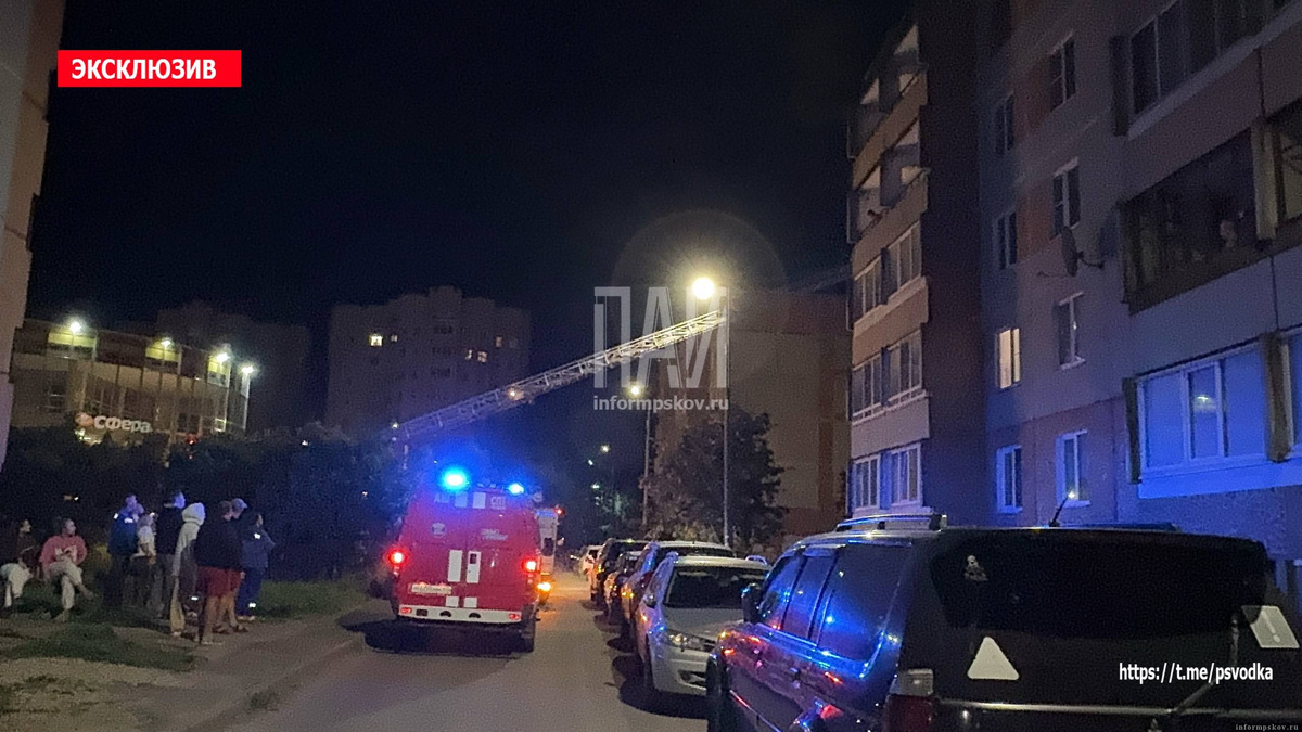 Фото здесь и далее: ПАИ