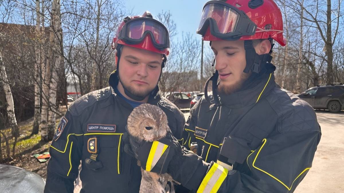    Фото: Пресс-служба АНО Центр «Помощь»