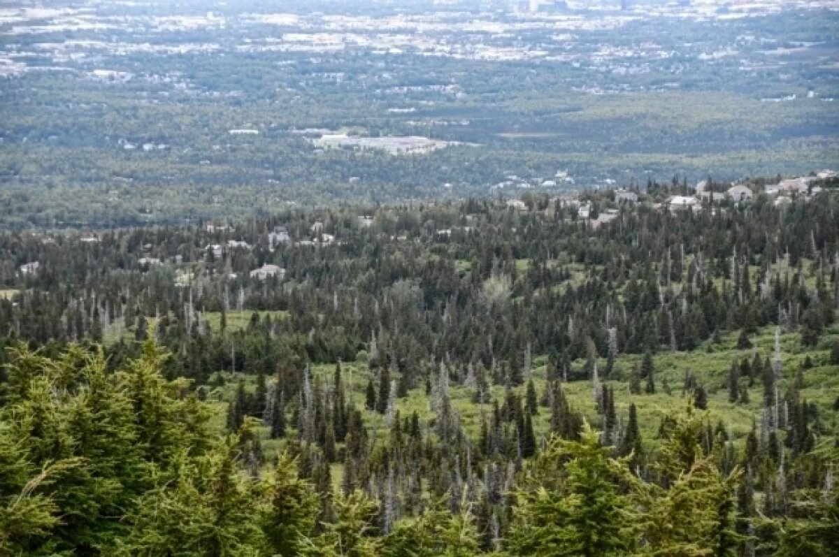    Сейсмолог Горшков прокомментировал возможное землетрясение на Аляске