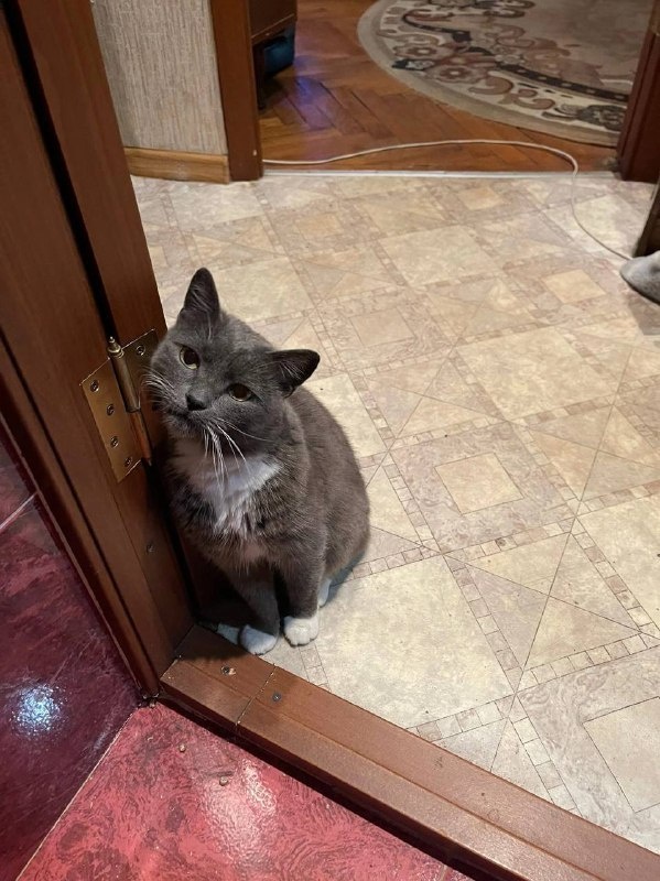 Зовет поскорее на кухню. Фото из архива автора