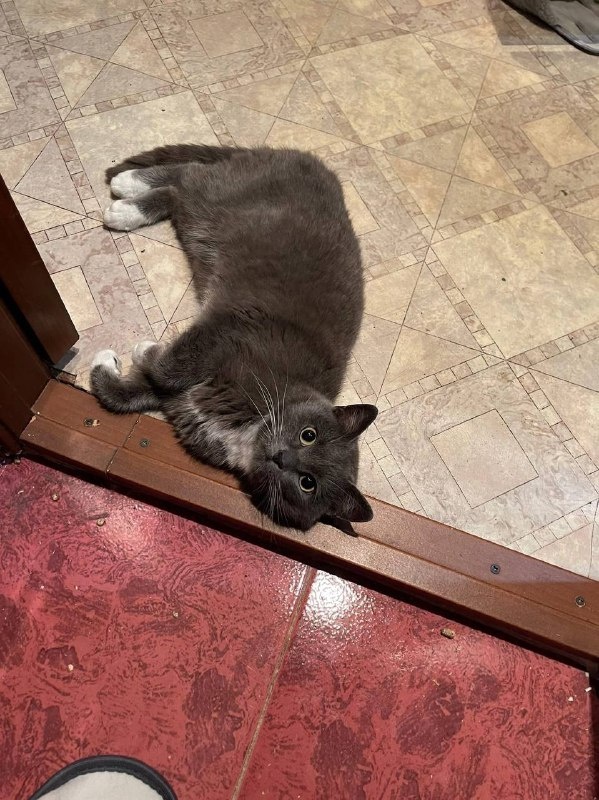 Не сводит глаз. Фото из архива автора