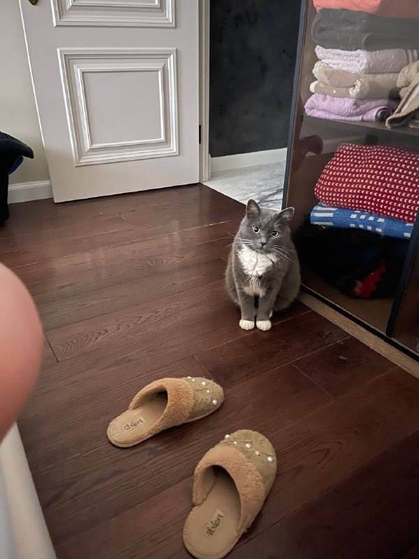 Гипноз глаза в глаза. Фото из архива автора