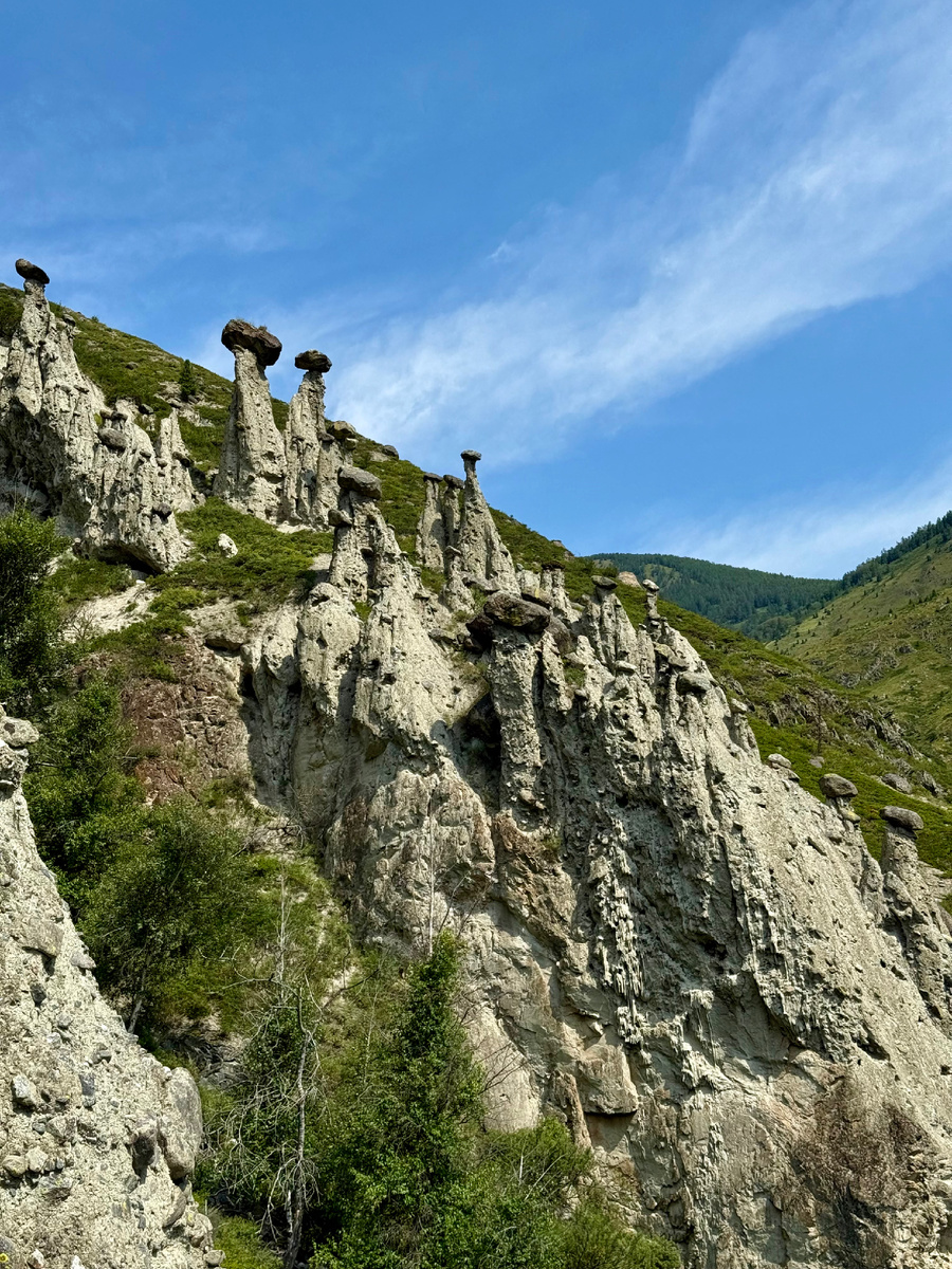 Алтай. Долина реки Чулышман. Каменные грибы. Ходим-едем