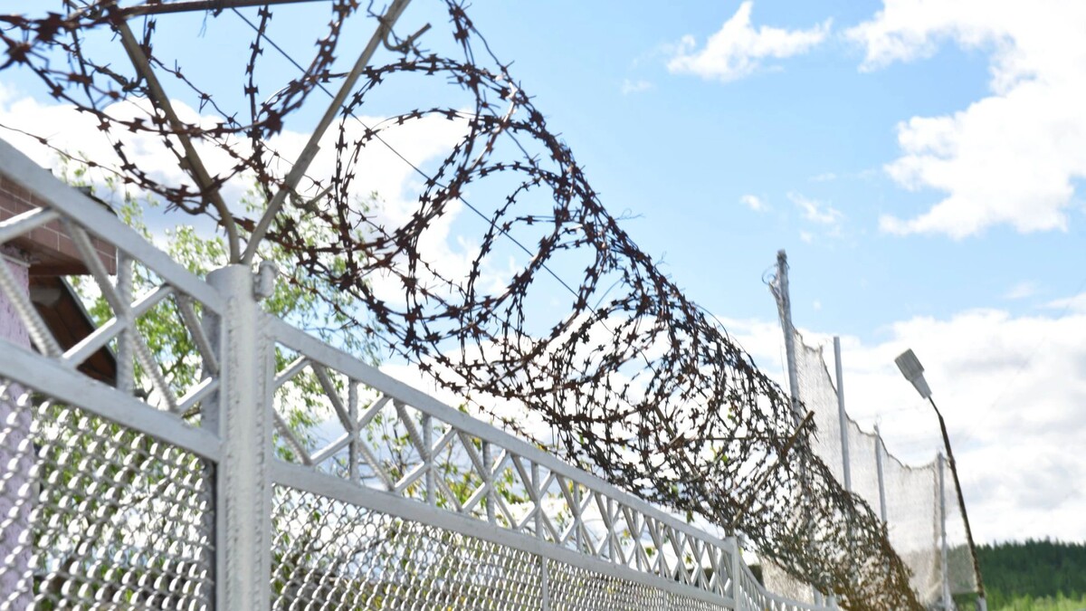    Фото: Андрей Ткачев / «Ямал-Медиа»