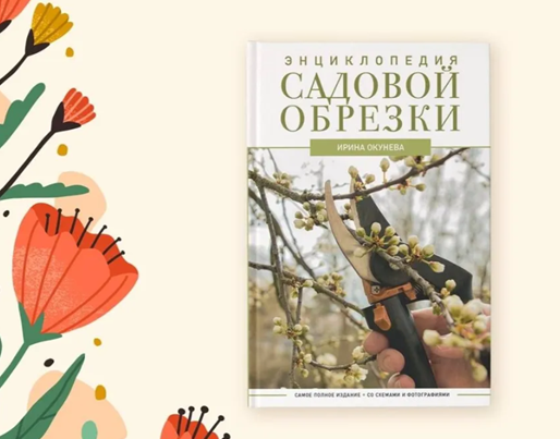 Как правильно обрезать кустарники малины и ежевики