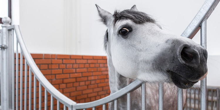    Фото: М. Мишин, mos.ru