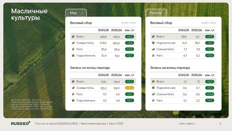     Аналитический центр RUSEED представляет обзор отчета USDA за август 2025 года
