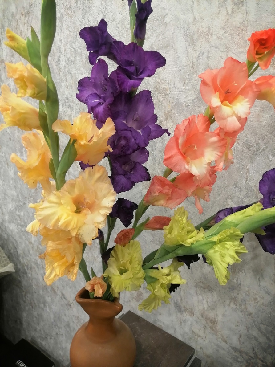Первый букет гладиолусов