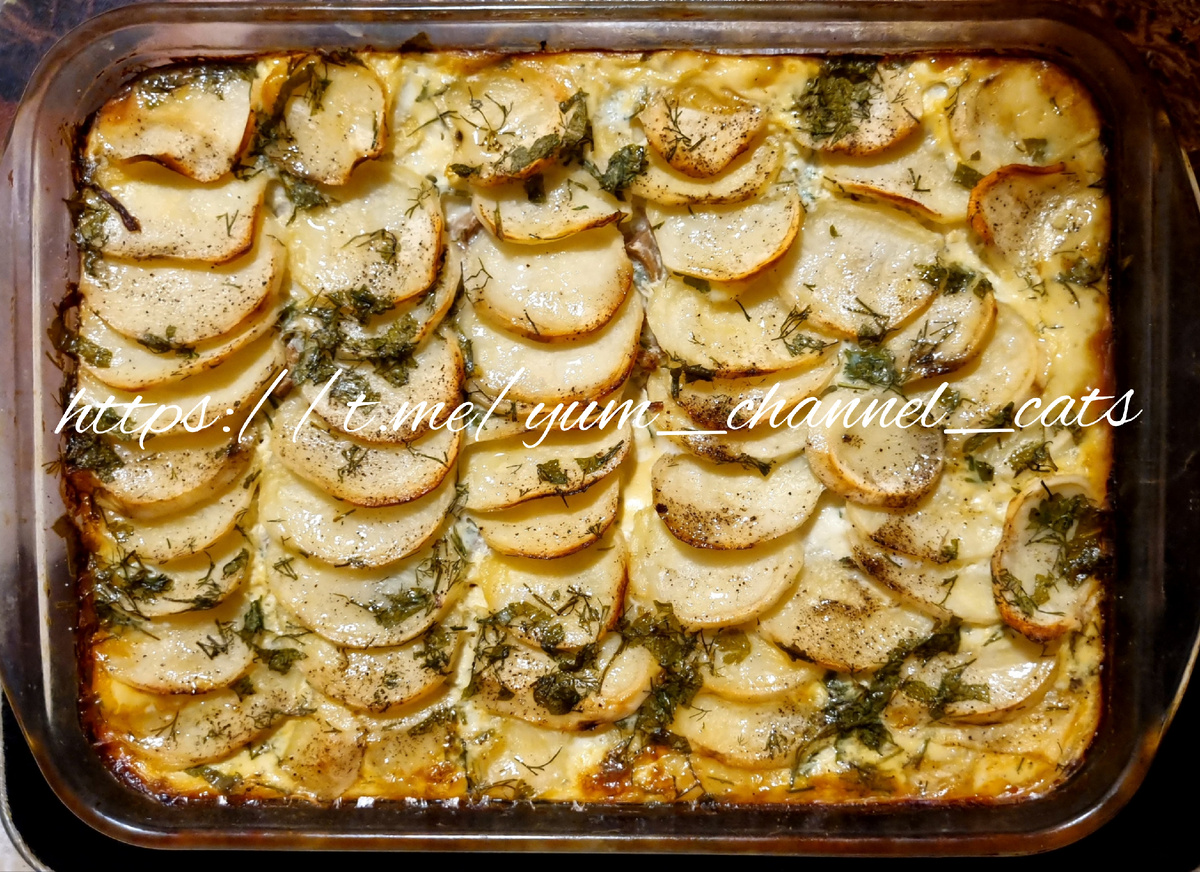 Рецепты на каждый день