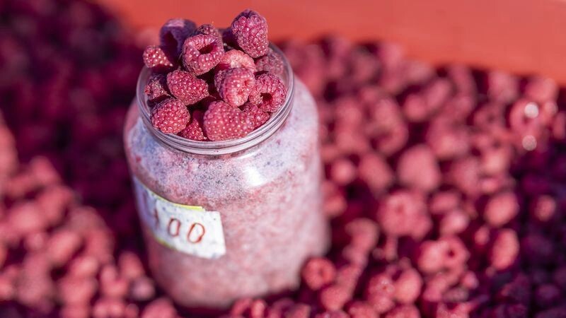    Фото: Федор Воронов / «Ямал-Медиа»