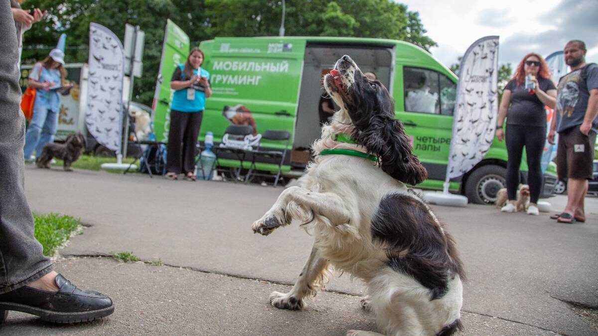   Фото: пресс-служба АНО «Комплексное развитие района «Мой район»