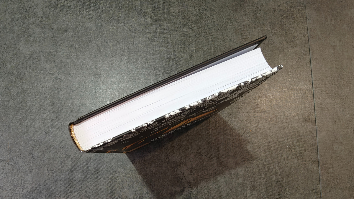 Чуть больше 300 страниц