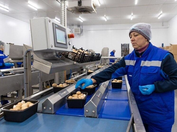     Фото: Агентство регионального развития Калужской области