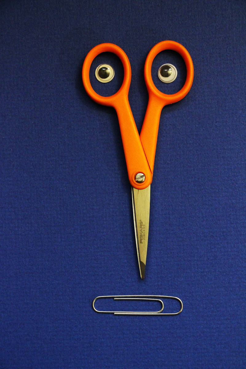 ShellyS – «IMG_7831» // flickr.com