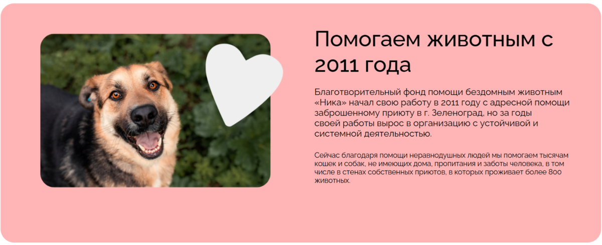 Протяните руку помощи лапкам вместе с программами НИКА https://fond-nika.ru/