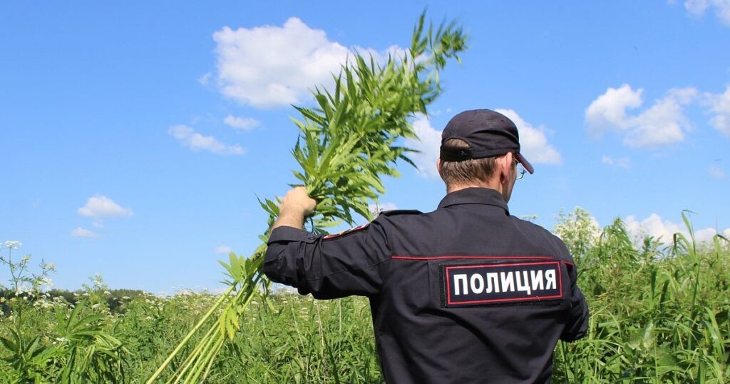    Фото МО МВД РФ "Искитимский"