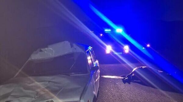    © Photo : Пресс-служба МВД РЮО