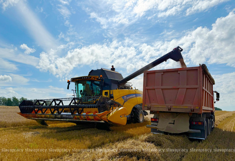    Лидеры жатвы: комбайнеры