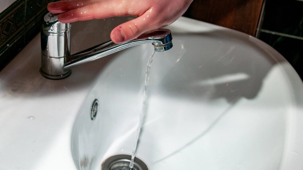    Фото: Svetlana Vozmilova/Globallookpress