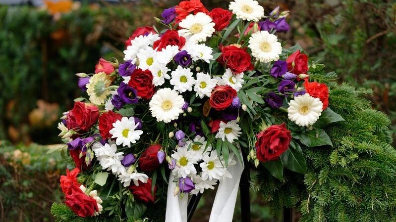    Фото: gerd-harder/Shutterstock/Fotodom