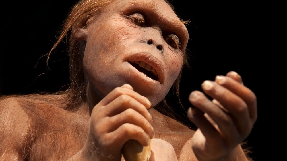     Фото: Procy/Shutterstock/FOTODOM