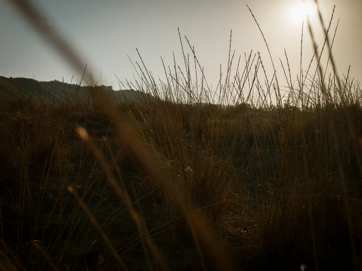 Картинка с бесплатного фотостока https://unsplash.com, автор Giuseppe Famiani