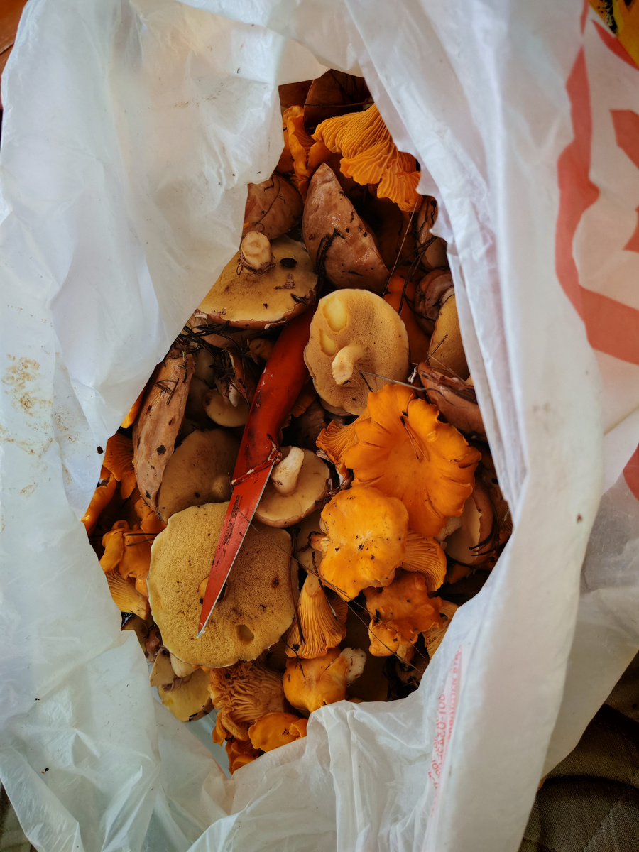 Моя добыча. 