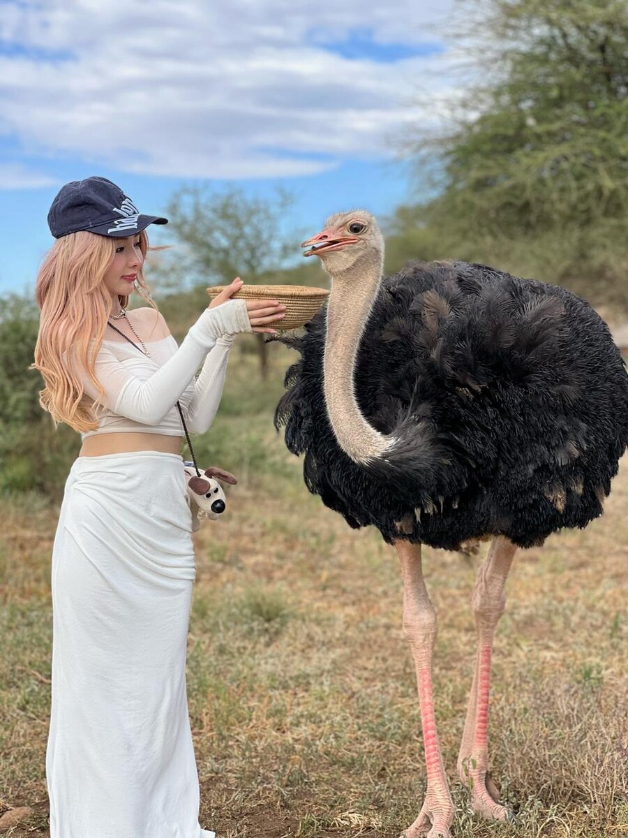 -2