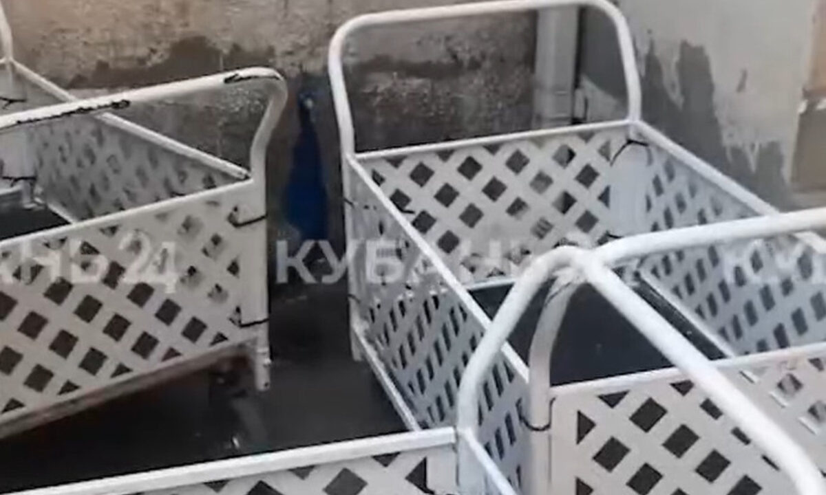    Фото "Кубань 24"