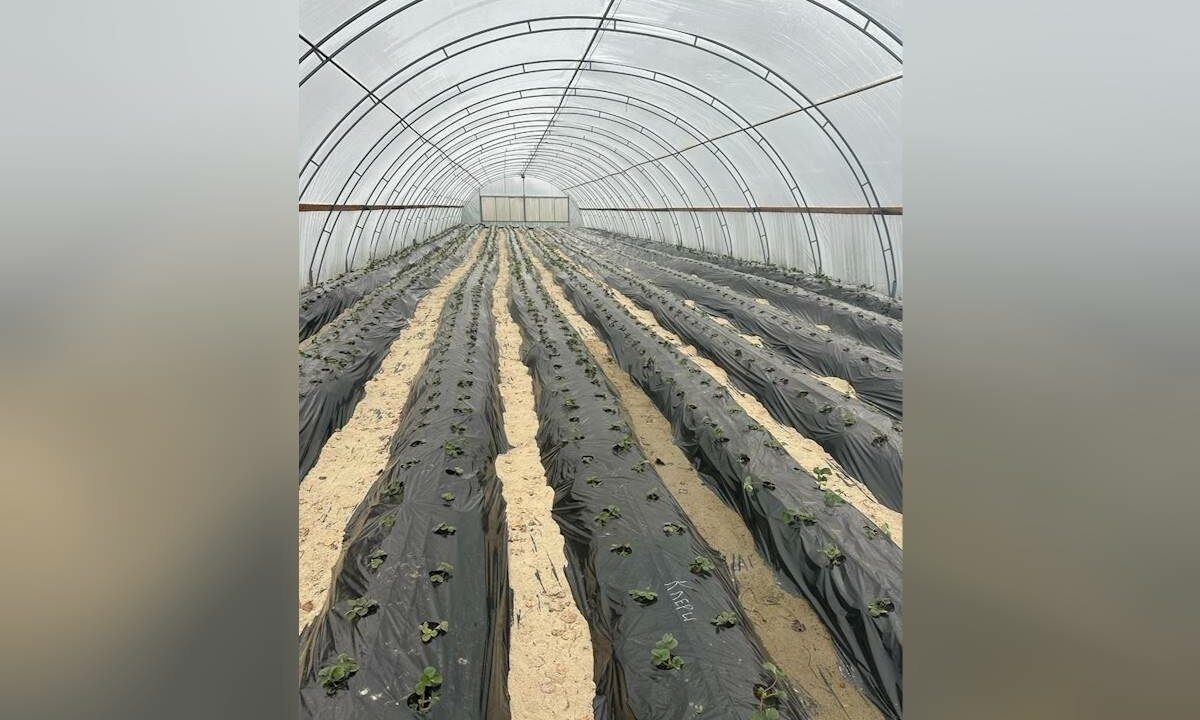    Фото пресс-службы министерства труда и социального развития