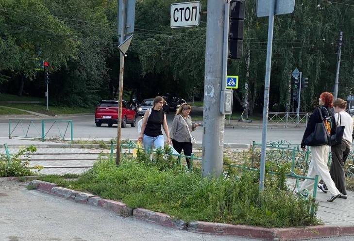    Фото - ТГ-канал микрорайона «Горский»