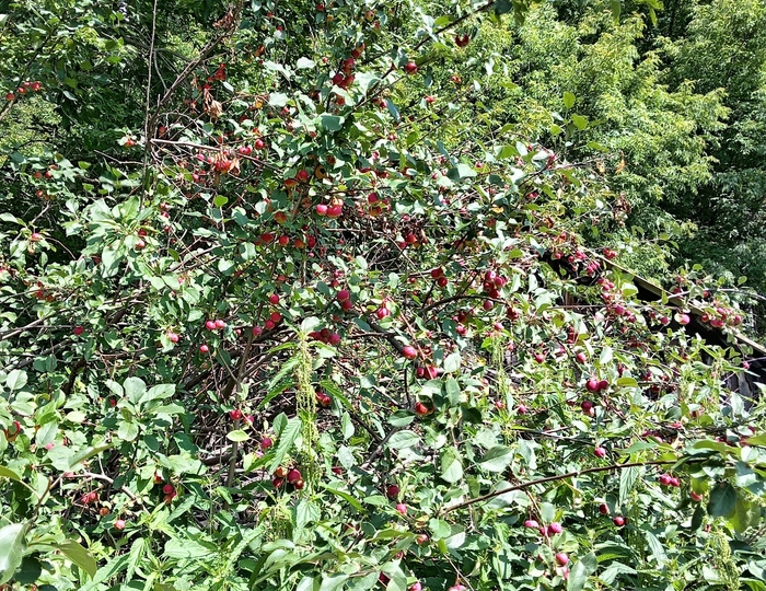 Жизнь после. День такой пасмурный