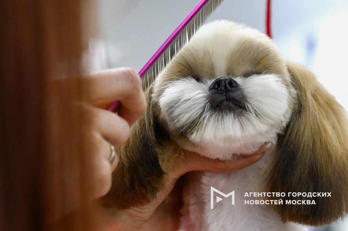 Зыков Кирилл/АГН Москва