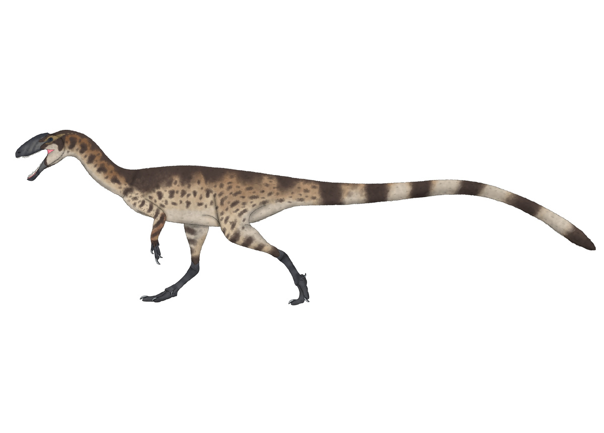 Годжиразавр, красивый арт.