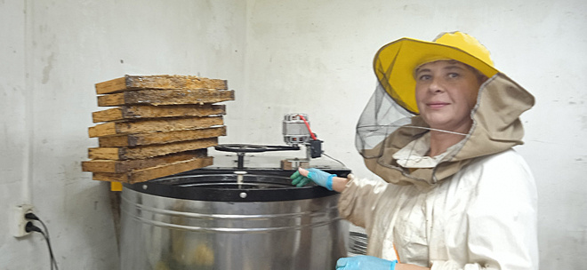 
Татьяна Сарапульцева ловко управляется с медогонкой, добывает мёд из сот