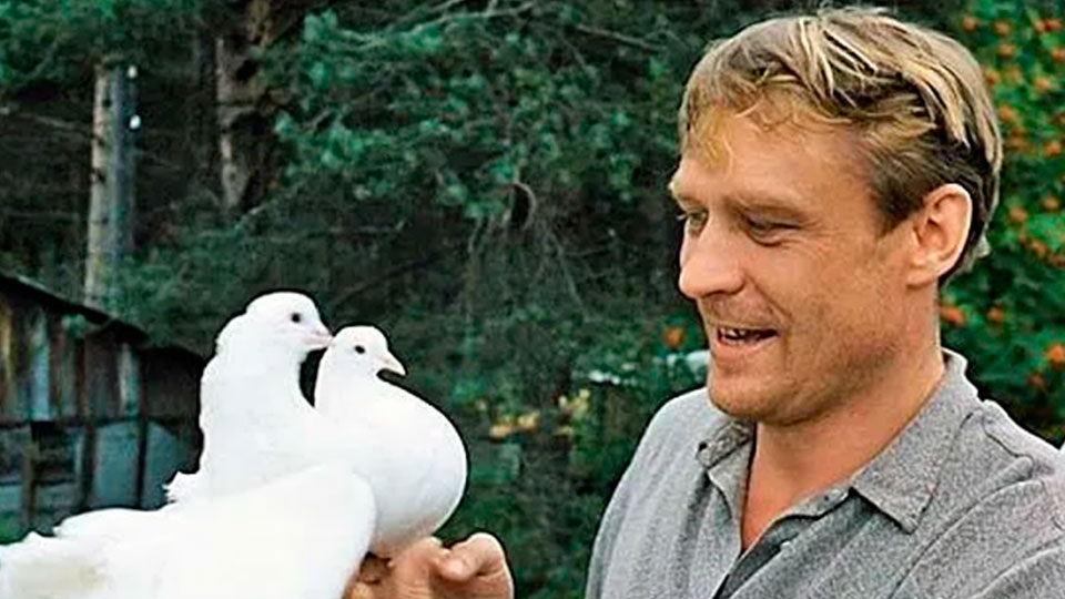 Александр Михайлов в фильме "Любовь и голуби"