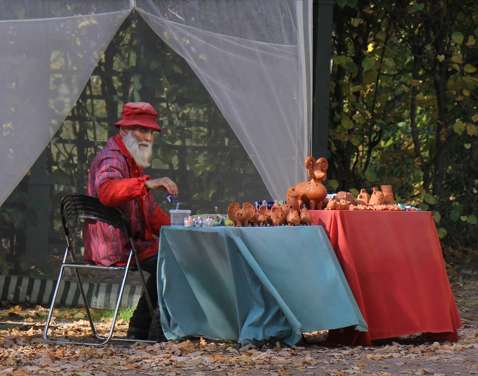 Сухарева Ольга, Какие чудные игрушки