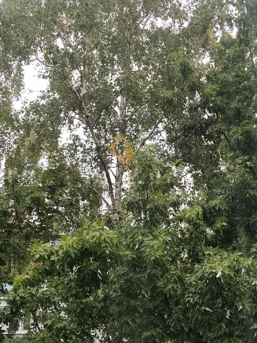 Осень уже на пороге