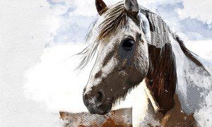 Изображение от freepik  📷
