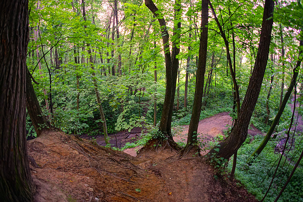 Кунцевское городище