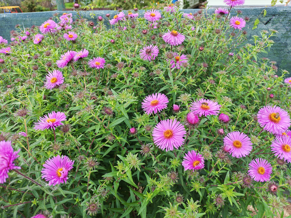 Редко, но уже загораются звёздочки. 