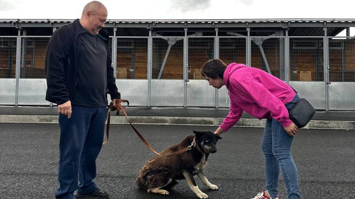     Фото: Муниципальный приют для собак