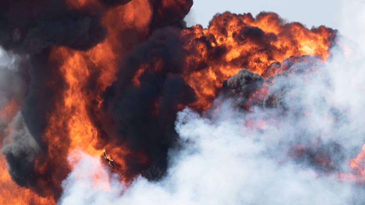    Фото: Shutterstock