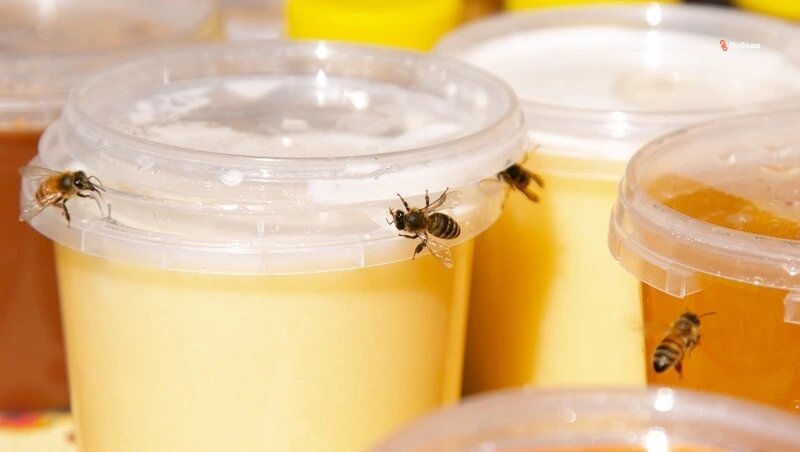      Фото: ИА «Победа26»