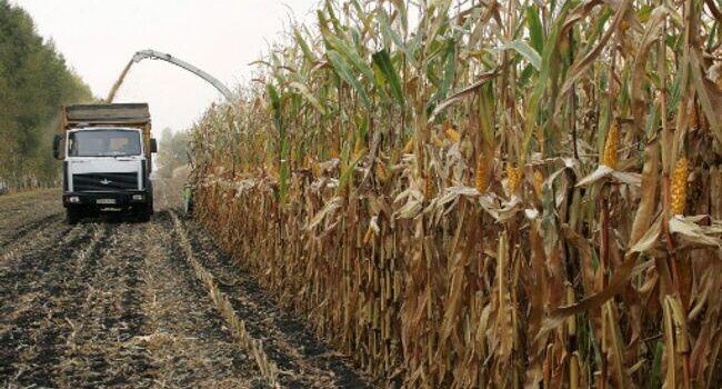    РИА «Новости»