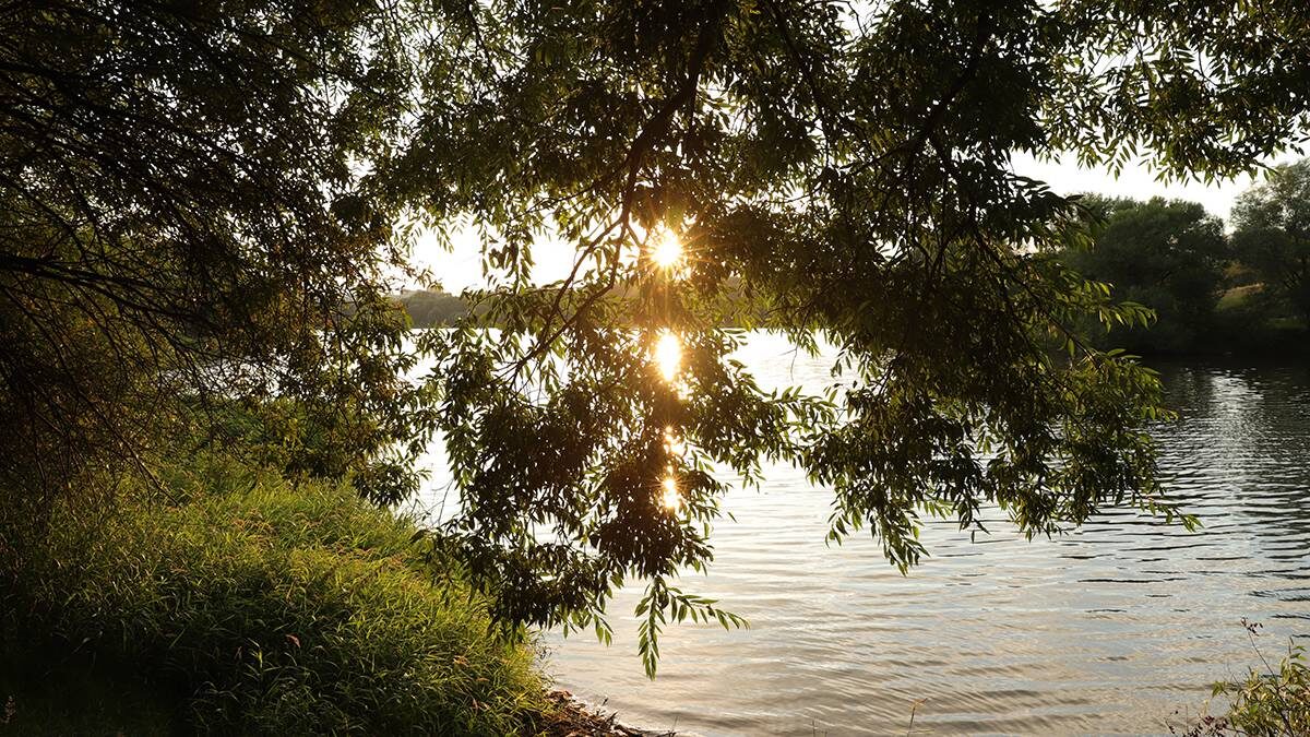    Фото: Анатолий Цымбалюк / Вечерняя Москва