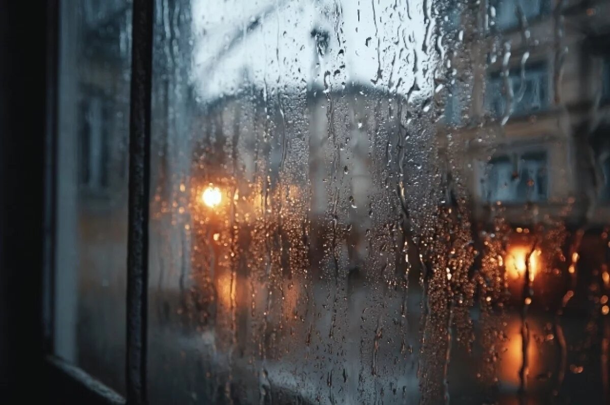    Немецкий поселок в Омске затопило после сильных дождей