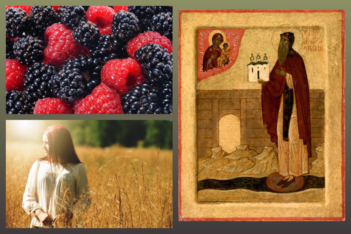 Икона Прп. Антоний Римский, Чудотворец Новгородский/azbuka.ru-pixabay.com