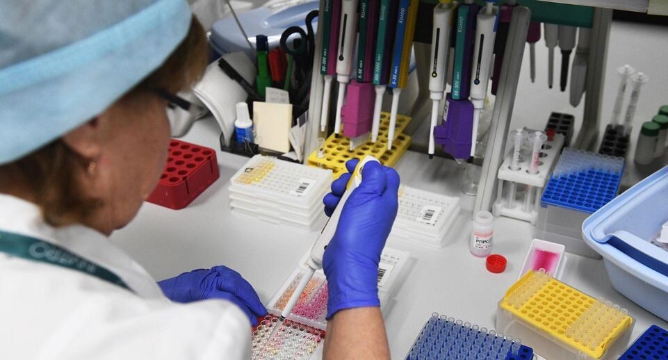    РИА «Новости»